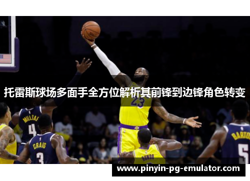 托雷斯球场多面手全方位解析其前锋到边锋角色转变