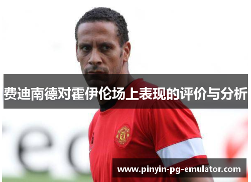 费迪南德对霍伊伦场上表现的评价与分析