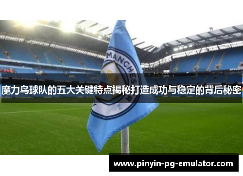 魔力鸟球队的五大关键特点揭秘打造成功与稳定的背后秘密 魔力鸟球队的五大关键特点揭秘打造成功与稳定的背后秘密