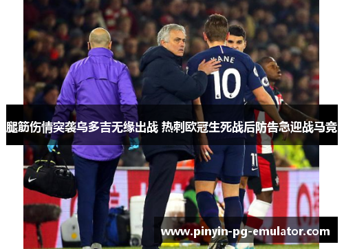 腿筋伤情突袭乌多吉无缘出战 热刺欧冠生死战后防告急迎战马竞